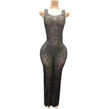 Trade Black Perspective Mesh Sleeveless Long Dress - For Singer, Hosting Party Events Robe De Soiree Elegante Pour Femme Vestito - Hồng - Xem 2