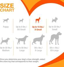 Nylabone New Puppy Chew Toy Bundle, Toys For Teething Puppies, Chicken & Bacon Flavors, Pink, X-Small - Up To 15 Lbs, 4 Pack,11852167 - Màu Hồng  Dưa hấu - Xem 5