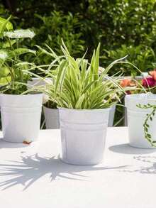 1 pieza Maceta colgante de hierro compacta, Cubo colgante con gancho extraíble, Maceta colgante, Se puede usar para suculentas, plantas verdes, plantas en maceta