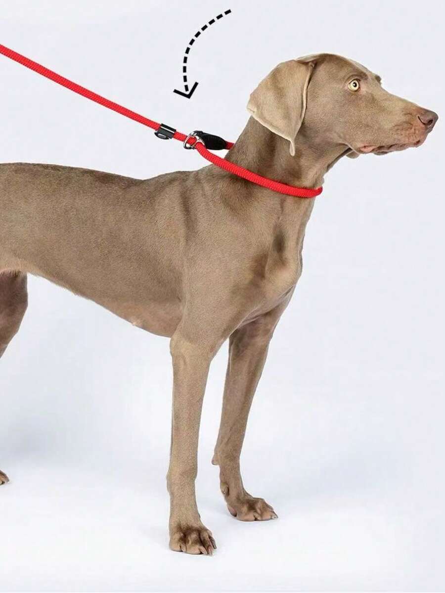 Small Dog P-Rope Traction Rope Anti Riot Integrated Professional Dog Training Dog Walking Traction Rope - Multicolor - View 1