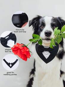 1 بدلة كلب، وشاح كلب للزفاف، طوق ربطة عنق للحيوانات الأليفة، بدلة رسمية قابلة للتعديل للكلاب والقطط لحفلات عيد الميلاد، مناسبة للكلاب والقطط الصغيرة والمتوسطة والكبيرة، ملابس كلب لعيد الحب
