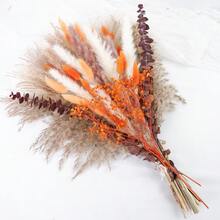 58pcs Natural Pampas Grass Mix Bouquet | Dried Pampas Bouquet For Wedding Boho Flowers Home Table Decor Desk Decor, Rustic Farmhouse Decor - Nhiều màu - Xem 12
