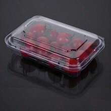 50pcs    Disposable Clear Plastic Clamshell Containers: Airtight Seal For Freshness, Ideal For Deli, Pastries, Sandwiches & Fruit – Perfect For Picnics, Takeout & Parties, Must - Have Food Storage Solution - 33948854 - Xem 3