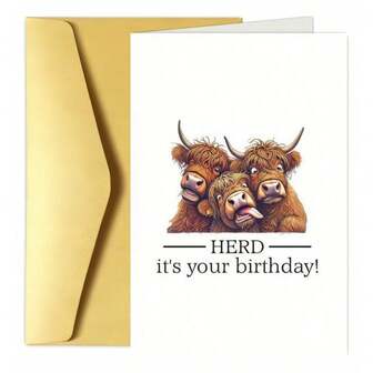 1 张有趣的高地牛生日贺卡，带信封，幽默的“牛群”设计，带有卡通牛和俏皮的信息，非常适合家人、朋友、男士和女士，独特的感谢或生日装饰，纸质材料