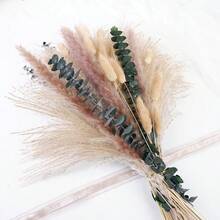 58pcs Natural Pampas Grass Mix Bouquet | Dried Pampas Bouquet For Wedding Boho Flowers Home Table Decor Desk Decor, Rustic Farmhouse Decor - Nhiều màu - Xem 13