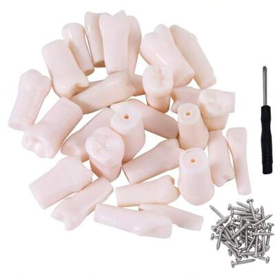 Modelo de mandíbula de 200 dientes de repuesto para material escolar, modelo de formación dental.