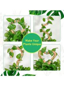 1 件龟背竹苔藓杆，可调节植物支撑杆，室内盆栽植物支架，15.7 英寸椰壳纤维杆，适用于苔藓、绿萝和其他攀缘植物