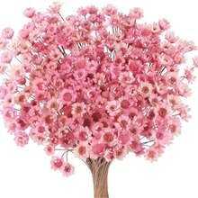 30/60/100/200/400 枝天然干花，巴西小星形雏菊装饰干花，迷你雏菊洋甘菊花束，适用于婚礼插花、家居装饰、情人节礼物 - 淺粉色 - 查看 4