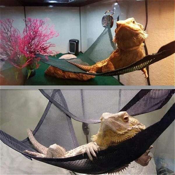 Breathable Mesh Hammock Designed For Reptiles And Amphibians Such As Lizards, Bearded Dragons, Chameleons, Serves As A Comfortable Resting Area In Terrariums Or Dog Houses, Soft And Conforming To Pet's Body Shape, Enhances Pet's Resting Experience
