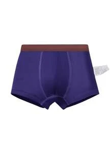 4 件装小男孩恐龙图案平角裤，儿童内裤短裤套装