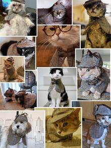 宠物侦探服装套装 - 英式狗猫角色扮演带帽子，适合小型犬，涤纶材质，钩环扣