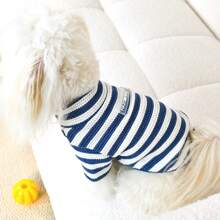 1 件条纹弹性柔软宠物毛衣，适合春、夏、秋、冬，适合中小型犬，有灰色、绿色、蓝色可选