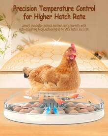 30 Egg Incubator With Automatic Turner, Digital Temperature And Humidity Display, And Built-In Egg Candler For Hatching Chickens, Quail, And Ducks - Xem 4