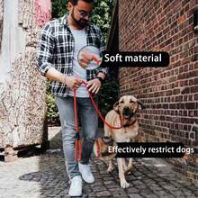 Small Dog P-Rope Traction Rope Anti Riot Integrated Professional Dog Training Dog Walking Traction Rope - Multicolor - View 4