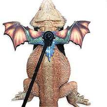 Adjustable Bearded Dragon Harness & Leash - Bat Wings Design Outdoor Reptile Lead