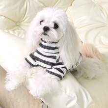 1 件条纹弹性柔软宠物毛衣，适合春、夏、秋、冬，适合中小型犬，有灰色、绿色、蓝色可选
