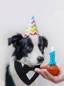 1 بدلة كلب، وشاح كلب للزفاف، طوق ربطة عنق للحيوانات الأليفة، بدلة رسمية قابلة للتعديل للكلاب والقطط لحفلات عيد الميلاد، مناسبة للكلاب والقطط الصغيرة والمتوسطة والكبيرة، ملابس كلب لعيد الحب