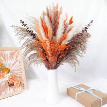 58pcs Natural Pampas Grass Mix Bouquet | Dried Pampas Bouquet For Wedding Boho Flowers Home Table Decor Desk Decor, Rustic Farmhouse Decor - Nhiều màu - Xem 1