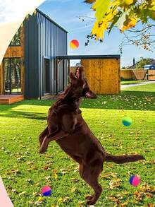 5/10/20/30pcs Colorful Rainbow Bouncy Balls - Perfect Party & Birthday Gifts! Small Size (Random Pattern), Party Favors, Birthday Party Gifts, Bouncy Balls, Bouncy Ball Toys, Sewn Party Decor, Mini Balls, Party Supplies - Multicolor - View 5