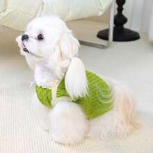 1 件轻便透气有弹性的宠物背心，适合中小型犬，春夏季