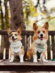 Personalized Custom Pet Scarf , Personalized Embroidered Dog Bandana,Customized Pets Logo Print Solid Color Pet Triangle Scarf With Logo, Pet Neck Scarf,Bibs Triangle Scarfs Gift For Small Medium Large Dogs Cats Baby Puppy Pets Accessories Ornamental Stylish,Fashion,Colorful,Vintage,Cute,Contracted,Cuties Custom,Unique,Customized,Personalized Pet For Anniversaries,For Birthdays