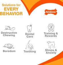 Nylabone New Puppy Chew Toy Bundle, Toys For Teething Puppies, Chicken & Bacon Flavors, Pink, X-Small - Up To 15 Lbs, 4 Pack,11852167 - Màu Hồng  Dưa hấu - Xem 7