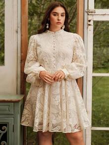 Anewsta Women's Elegant Floral Embroidered Lantern Sleeve Stand Collar Waist Cinch Mesh Midi Dress, Boho Spring Outfits For Plus Size