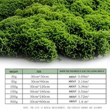 1m x 1m künstliche grüne Moosmatte, geeignet für Bonsai-Geschäfte, Miniatur-Landschaftsdekoration für Zuhause, Fotografie-Requisiten - Grün - Übersicht 12