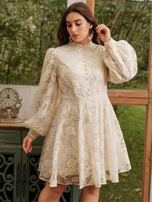 Anewsta Women's Elegant Floral Embroidered Lantern Sleeve Stand Collar Waist Cinch Mesh Midi Dress, Boho Spring Outfits For Plus Size