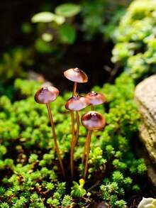 1/2/4pcs Enchanting Metal Mushroom Statues - Perfect For Bonsai, Potted Plants And Outdoor Garden Decor | Ideal Thanksgiving Gift - Metal Mushroom - View 5