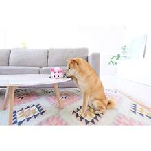 Outward Hound Fattiez Pig Plush Squeaky Dog , Smal - Con heo hồng - Xem 4