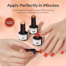 Cat Eye Gel Nail Polish Set, 6 Colors 9D Glassy Cat Eye Glitter Gel Polish Black Red Purple Blue Silver Brown Nail Polish All Seasons With Magnet Soak Off Led DIY Salon Gift-842643 - AA2VintageJelly - 查看 8