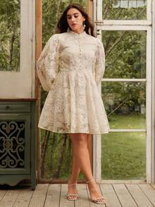 Anewsta Women's Elegant Floral Embroidered Lantern Sleeve Stand Collar Waist Cinch Mesh Midi Dress, Boho Spring Outfits For Plus Size