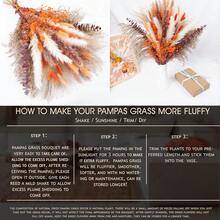 58pcs Natural Pampas Grass Mix Bouquet | Dried Pampas Bouquet For Wedding Boho Flowers Home Table Decor Desk Decor, Rustic Farmhouse Decor - Nhiều màu - Xem 5