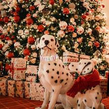 Elegant Little Tail Dog Collar Cute Pink With Red Strip Pattern Pet Collars Soft Girl Or Boy Adjustable Puppy Collar With Quick Release Buckle