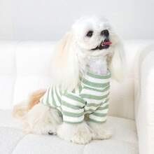 1 件条纹弹性柔软宠物毛衣，适合春、夏、秋、冬，适合中小型犬，有灰色、绿色、蓝色可选