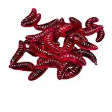 100/50/20pcs Soft Bionic Fishing Lures: Ultimate Trout, Crab And Carp Baits! Fishing - Yellow - View 8