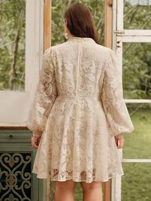 Anewsta Women's Elegant Floral Embroidered Lantern Sleeve Stand Collar Waist Cinch Mesh Midi Dress, Boho Spring Outfits For Plus Size