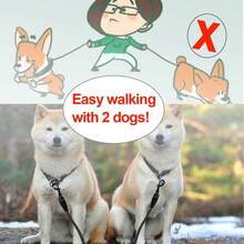 Detachable 2-In-1 Dog Leash With Reflective Safety Strap, Padded Handle - Heavy Duty Nylon Dog Leash For Medium & Large Dogs, Training, Walking, Outdoor Use (Small/Medium/Large)