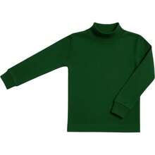 Verde bottiglia
