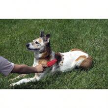 Escoba Evriholder FURemover - Escoba FURemover con paño acoplable - Ver 7