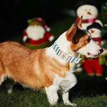 优雅小尾巴狗狗项圈，可爱粉色配绿色条纹图案，柔软舒适，男女通用，可调节幼犬项圈，带快速释放扣 - 綠色 - 查看 5