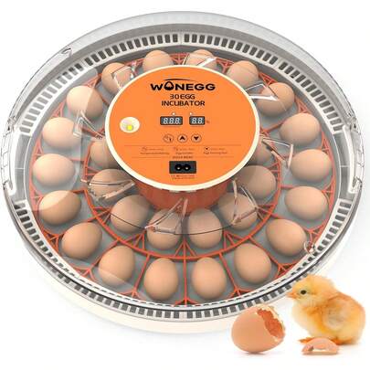 30 Egg Incubator With Automatic Turner, Digital Temperature And Humidity Display, And Built-In Egg Candler For Hatching Chickens, Quail, And Ducks