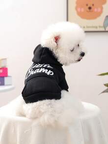 1件宠物衣服，狗狗/猫咪服装，舒适连帽卫衣，适合小型犬猫，可爱宠物套装 - 黑色 - 黑色 - 查看 2