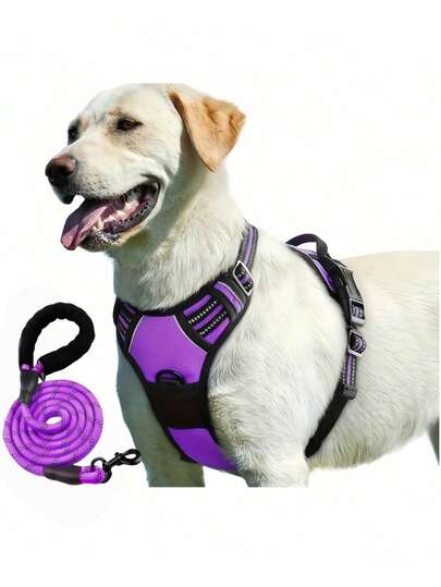 2 件套反光狗背带和 1.5 米牵引绳套装，透气宠物背带，适合大、中、小型犬和猫，小狗胸带，遛狗牵引绳和背带配件套装，万圣节礼物