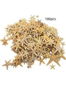 100pcs Small Sea Star, Sea Shell, Beach Craft, DIY Decoration, Handmade, Decoration - Multicolor - View 4