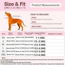 3-Color Striped Classic Homewear Outfit For Sphynx Cats, Suitable For Small-Medium Cats, Machine Washable - Black - View 3