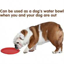 Vivifying Dog Flying Disc, 2 Pack 7 Inch Natural Rubber Floating Flying Saucer For Both Land And Water (Green + Red) - Green + Red - View 4