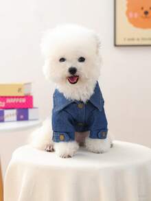 1件宠物衣服，狗狗/猫咪服装，快乐小狗休闲时尚可爱舒适调皮外套，适合小型犬/幼犬 - 藍色 - 查看 4