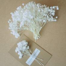 الأبيض (نفس الطفل)